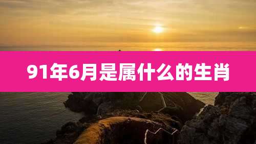 91年6月是属什么的生肖