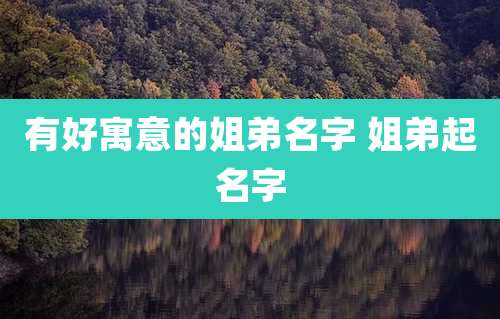 有好寓意的姐弟名字 姐弟起名字