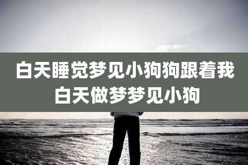 白天睡觉梦见小狗狗跟着我 白天做梦梦见小狗