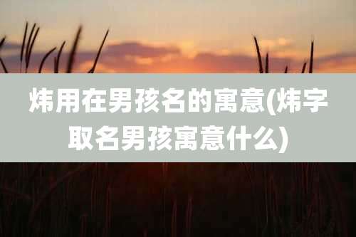 炜用在男孩名的寓意(炜字取名男孩寓意什么)