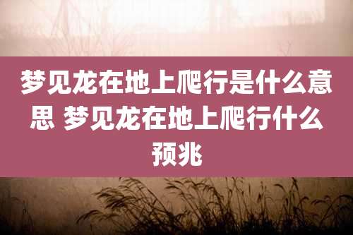 梦见龙在地上爬行是什么意思 梦见龙在地上爬行什么预兆