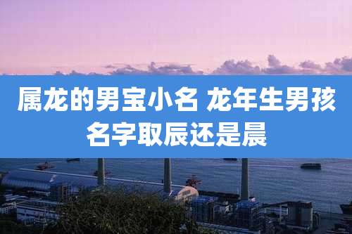 属龙的男宝小名 龙年生男孩名字取辰还是晨