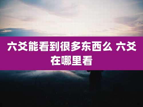 六爻能看到很多东西么 六爻在哪里看
