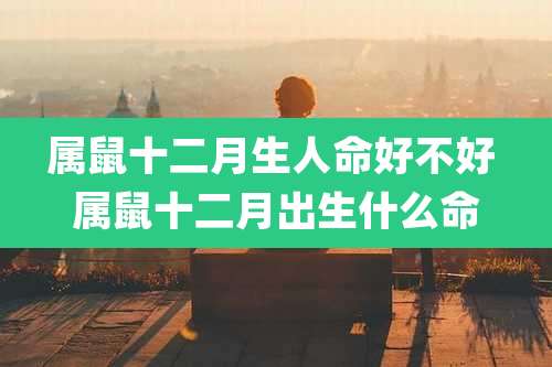 属鼠十二月生人命好不好 属鼠十二月出生什么命