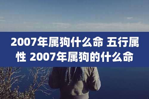 2007年属狗什么命 五行属性 2007年属狗的什么命