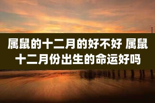 属鼠的十二月的好不好 属鼠十二月份出生的命运好吗