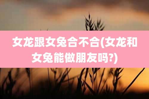 女龙跟女兔合不合(女龙和女兔能做朋友吗?)
