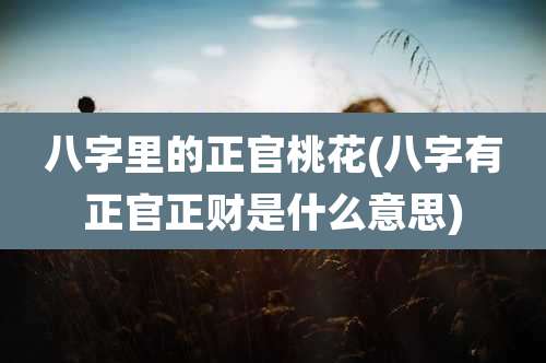 八字里的正官桃花(八字有正官正财是什么意思)