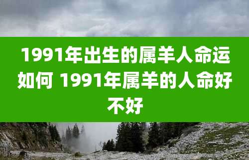 1991年出生的属羊人命运如何 1991年属羊的人命好不好