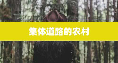 集体道路的农村