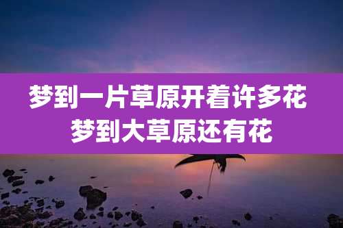 梦到一片草原开着许多花 梦到大草原还有花