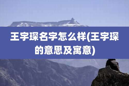王宇琛名字怎么样(王宇琛的意思及寓意)