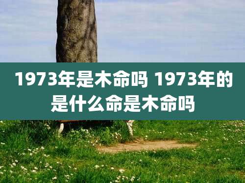 1973年是木命吗 1973年的是什么命是木命吗
