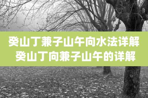 癸山丁兼子山午向水法详解 癸山丁向兼子山午的详解