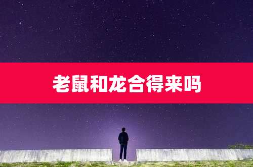 老鼠和龙合得来吗