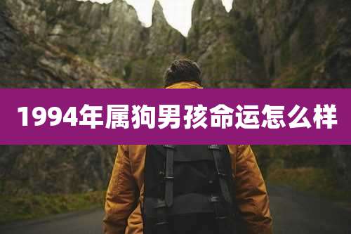 1994年属狗男孩命运怎么样