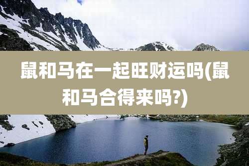 鼠和马在一起旺财运吗(鼠和马合得来吗?)