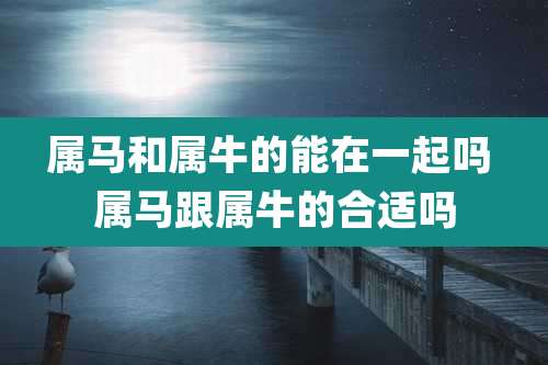 属马和属牛的能在一起吗 属马跟属牛的合适吗