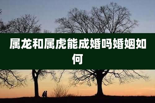 属龙和属虎能成婚吗婚姻如何