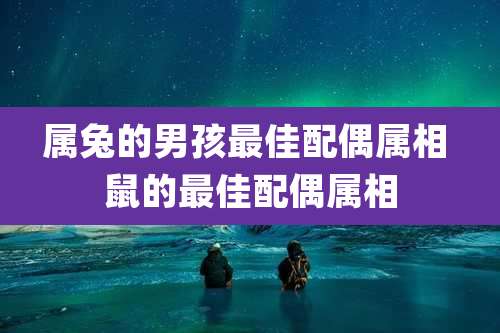 属兔的男孩最佳配偶属相 鼠的最佳配偶属相