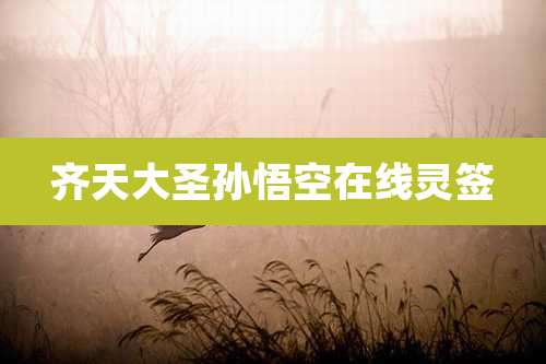 齐天大圣孙悟空在线灵签