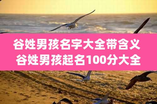 谷姓男孩名字大全带含义 谷姓男孩起名100分大全