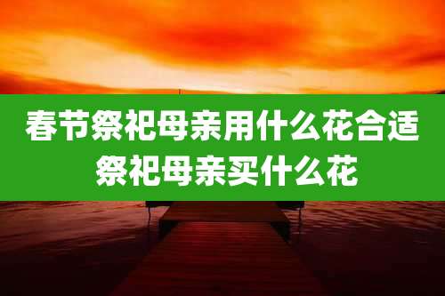 春节祭祀母亲用什么花合适 祭祀母亲买什么花
