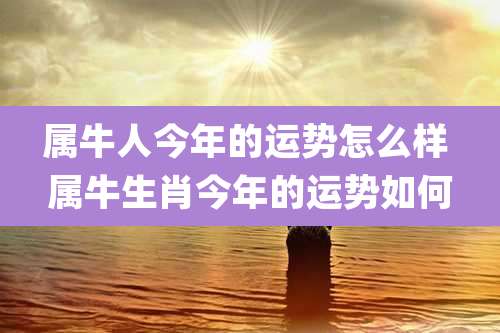 属牛人今年的运势怎么样 属牛生肖今年的运势如何