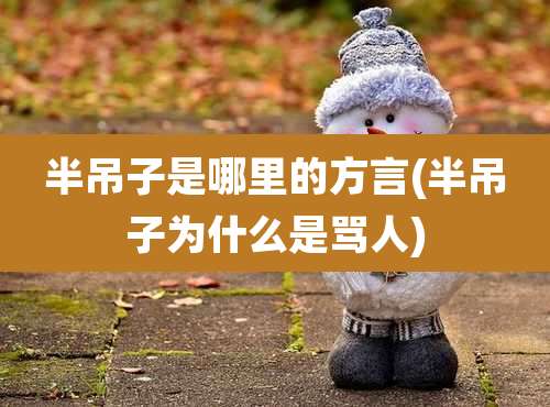 半吊子是哪里的方言(半吊子为什么是骂人)