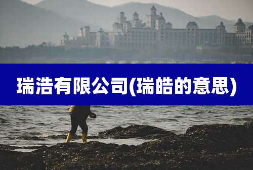 瑞浩有限公司(瑞皓的意思)
