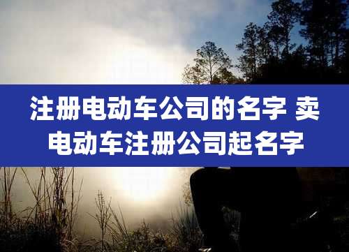 注册电动车公司的名字 卖电动车注册公司起名字