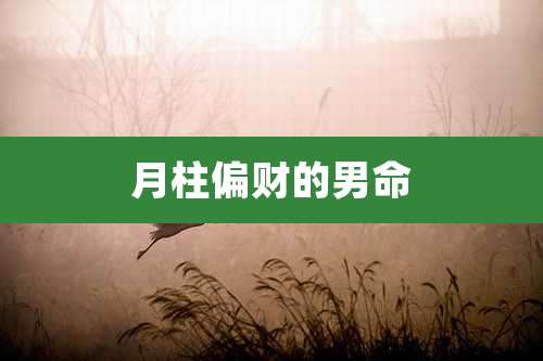 月柱偏财的男命