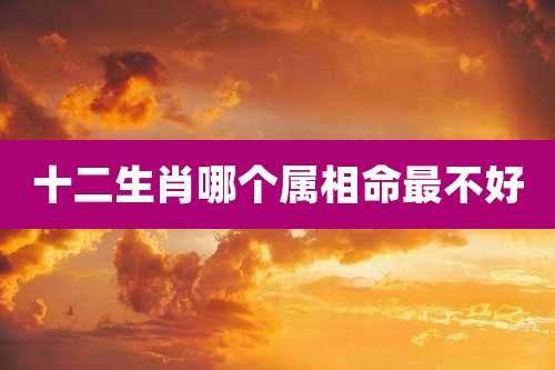 十二生肖哪个属相命最不好