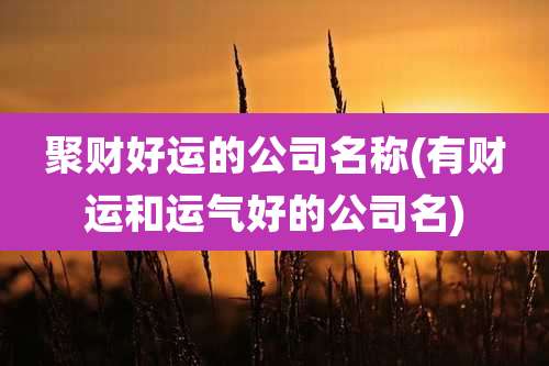 聚财好运的公司名称(有财运和运气好的公司名)