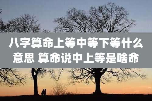 八字算命上等中等下等什么意思 算命说中上等是啥命