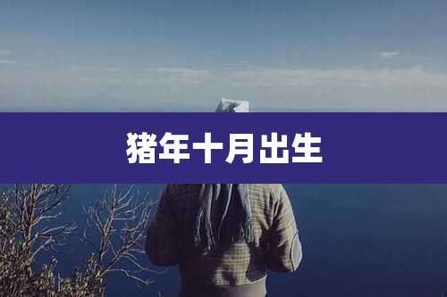 猪年十月出生