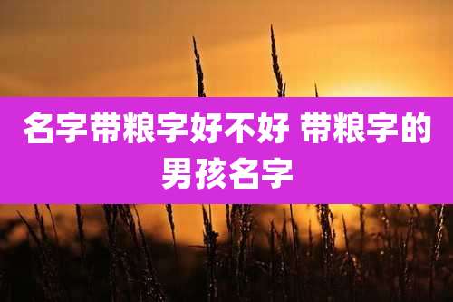 名字带粮字好不好 带粮字的男孩名字