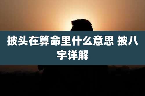 披头在算命里什么意思 披八字详解