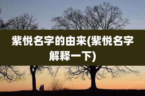 紫悦名字的由来(紫悦名字解释一下)