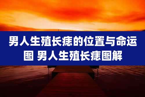 男人生殖长痣的位置与命运图 男人生殖长痣图解