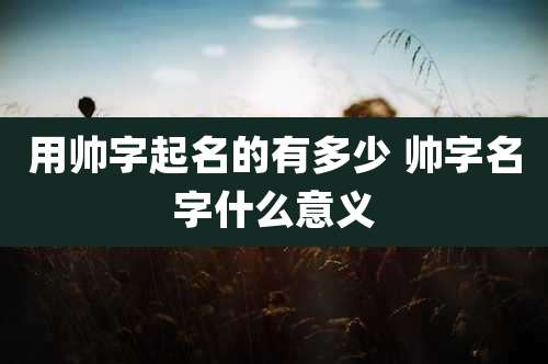 用帅字起名的有多少 帅字名字什么意义