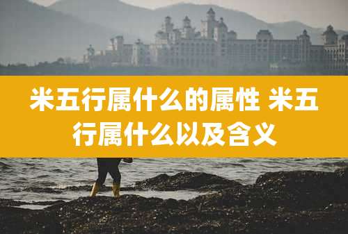 米五行属什么的属性 米五行属什么以及含义