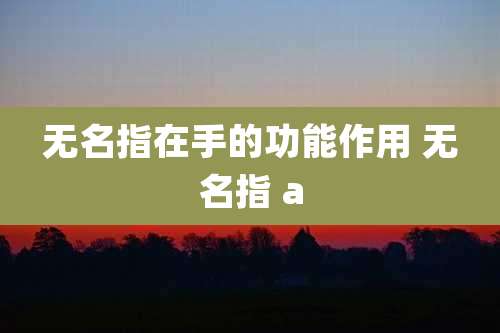 无名指在手的功能作用 无名指 a