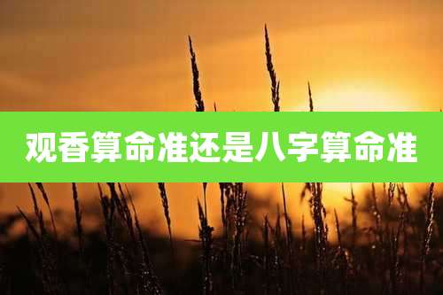 观香算命准还是八字算命准