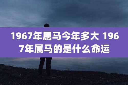 1967年属马今年多大 1967年属马的是什么命运