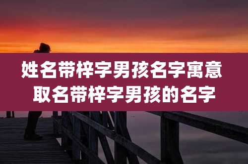 姓名带梓字男孩名字寓意 取名带梓字男孩的名字