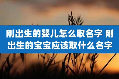 刚出生的婴儿怎么取名字 刚出生的宝宝应该取什么名字