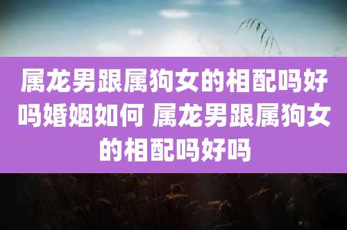 属龙男跟属狗女的相配吗好吗婚姻如何 属龙男跟属狗女的相配吗好吗