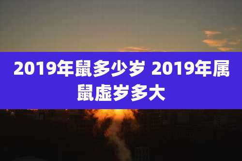 2019年鼠多少岁 2019年属鼠虚岁多大