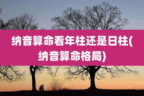 纳音算命看年柱还是日柱(纳音算命格局)